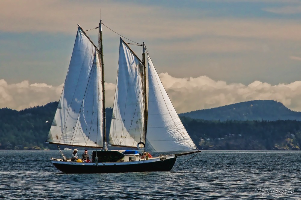 Freedom sailboat